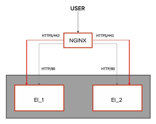 high-level picture of the NGINX and EI setup